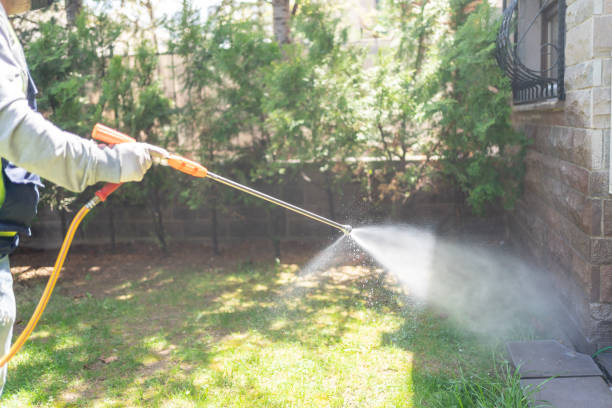 Trusted Arlington, VA Pest Control Experts