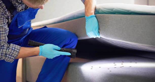 Best Wasp Removal Services  in Arlington, VA